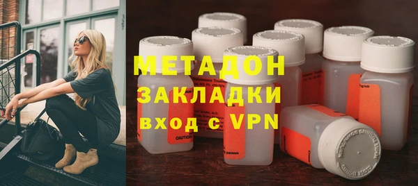 прущие грибы Магадан