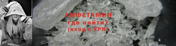 прущие грибы Магадан