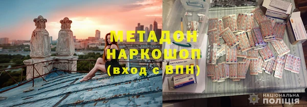 прущие грибы Магадан