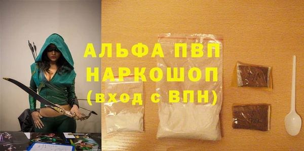 прущие грибы Магадан