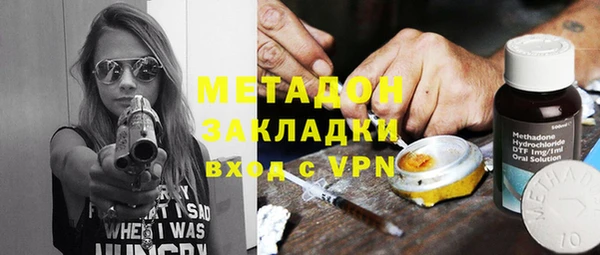 прущие грибы Магадан
