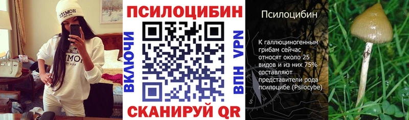 Псилоцибиновые грибы прущие грибы  Купить закладки  Сухиничи 