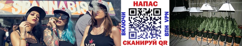 Шишки марихуана планчик  Купить закладки  Сухиничи 